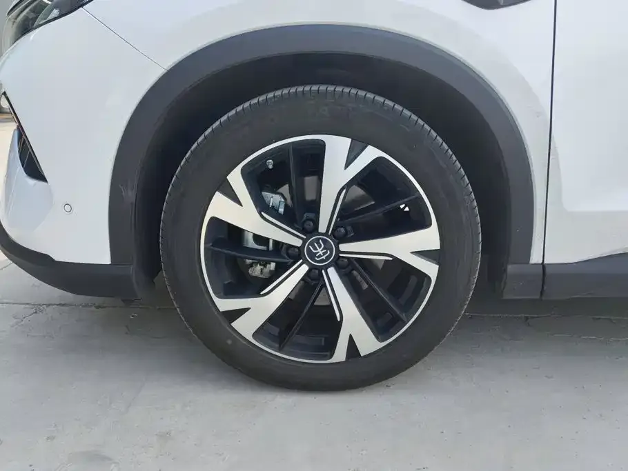 BYD Pro New Energy — фото 3