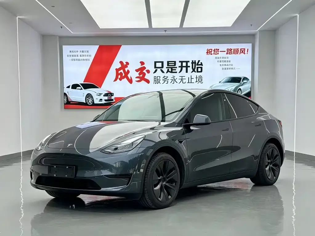 Tesla Model Y — фото 1