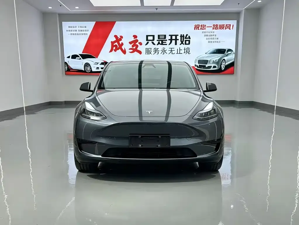 Tesla Model Y — фото 10