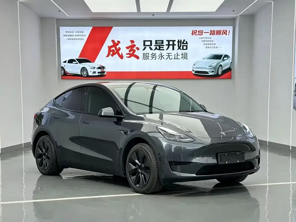 Tesla Model Y — фото 9
