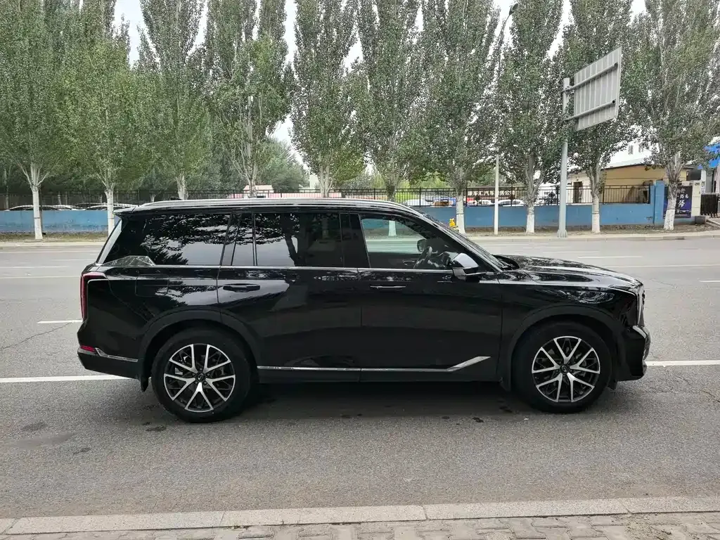 GAC Motor Trumpchi GS8 — фото 6