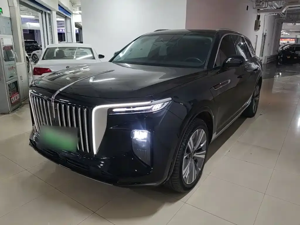 Hongqi E-HS9 — фото 10