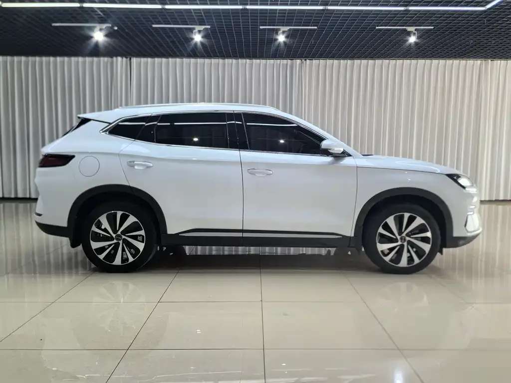 BYD PLUS New Energy — фото 9