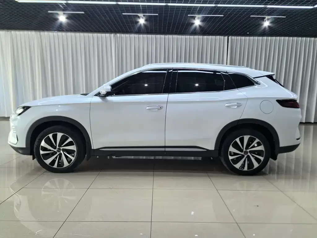 BYD PLUS New Energy — фото 6