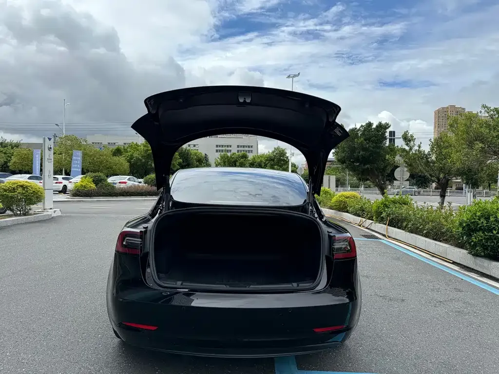 Tesla Model 3 — фото 5