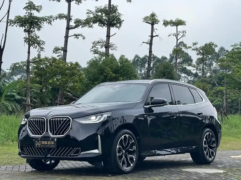 BMW X3 — фото 1