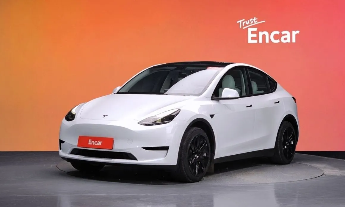 Tesla Model Y — фото 1