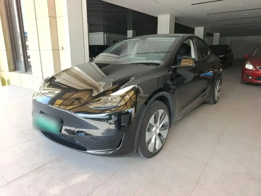 Tesla Model Y — фото 10
