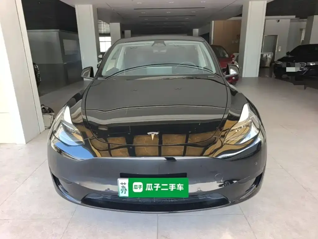 Tesla Model Y — фото 5