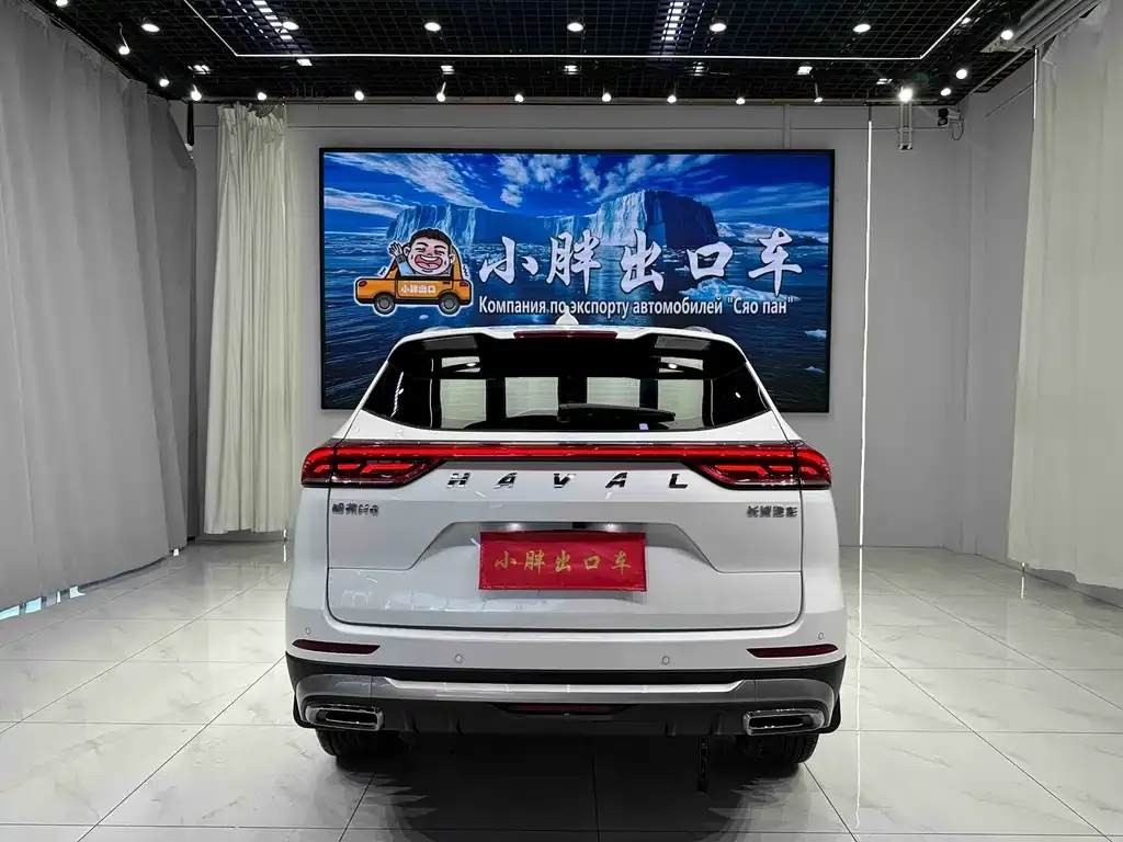 Haval H6 — фото 10