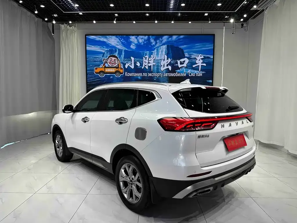 Haval H6 — фото 8