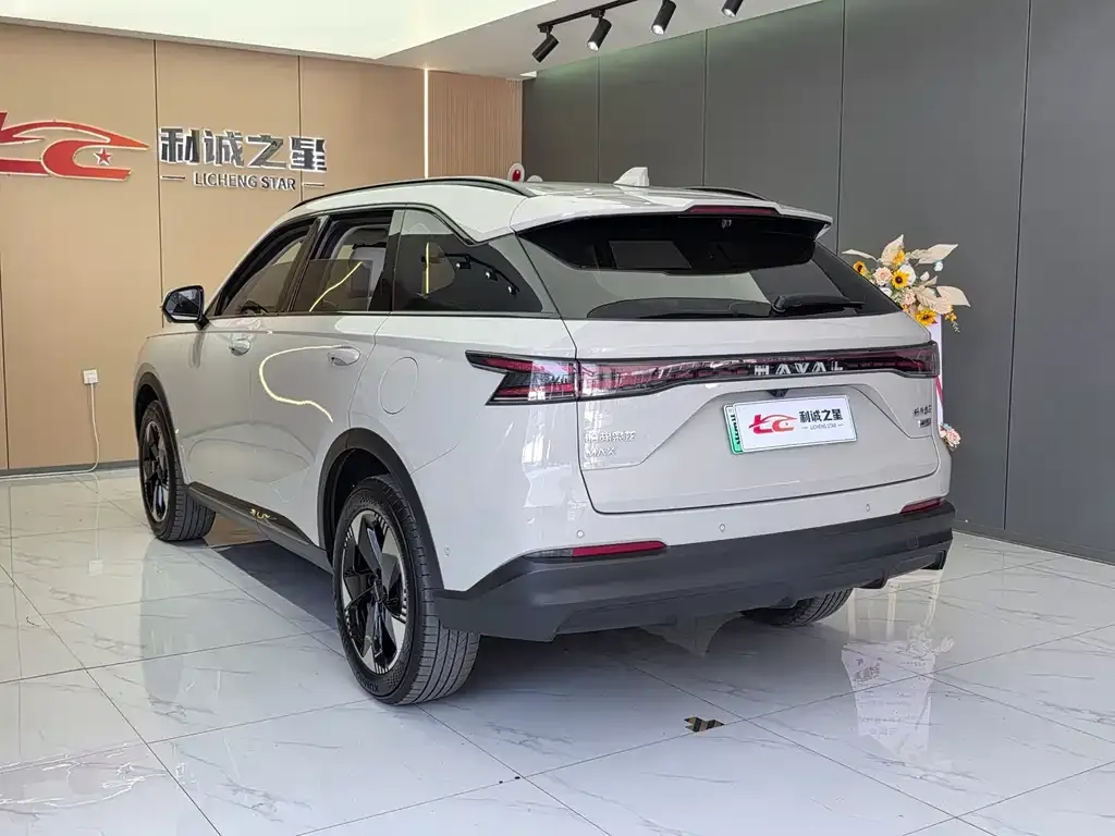Haval Xiaolong MAX — фото 7