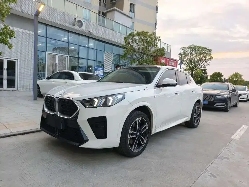 BMW X2 (Import) — фото 1