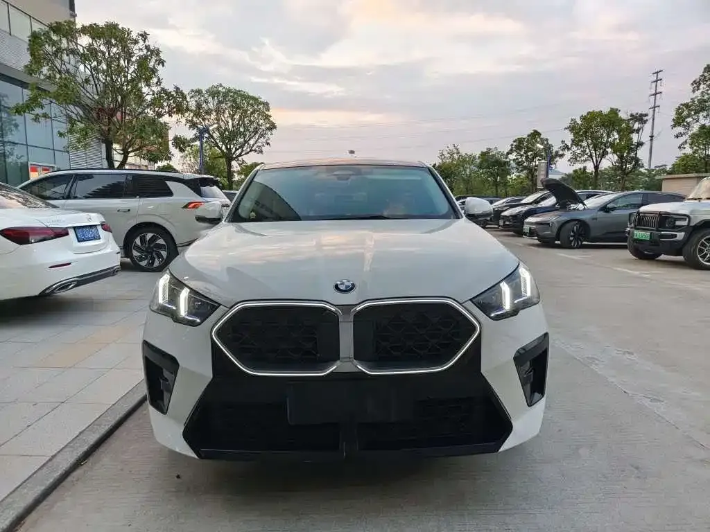 BMW X2 (Import) — фото 3