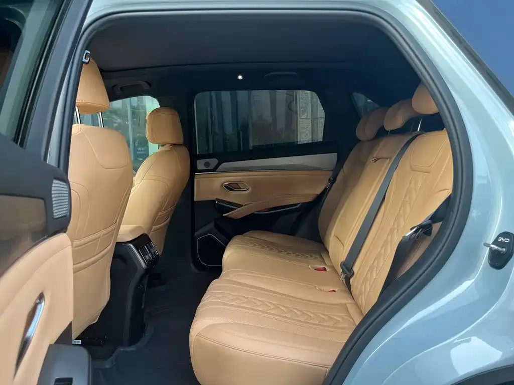 BYD L DM-i — фото 6