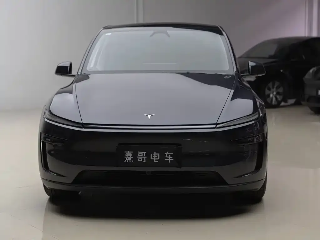 Tesla Model Y — фото 4