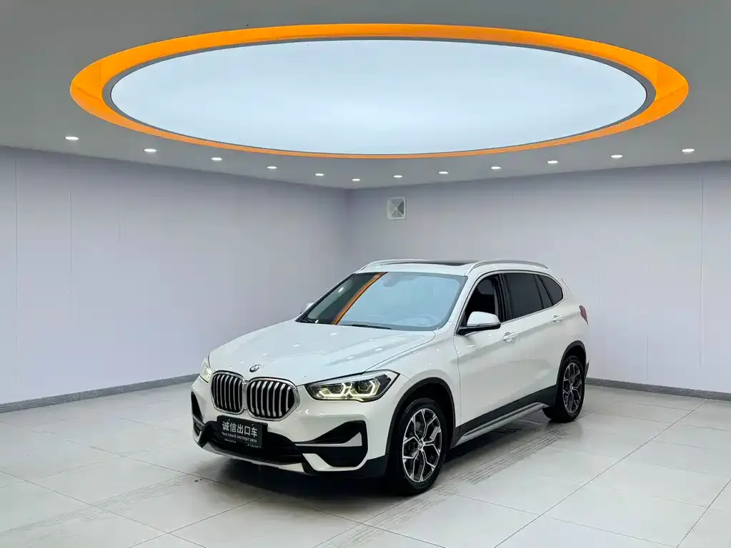 BMW X1 — фото 1