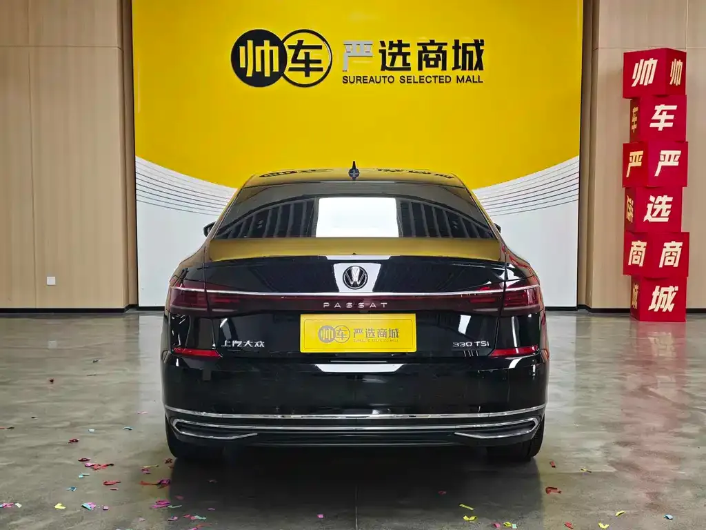 Volkswagen Passat — фото 10