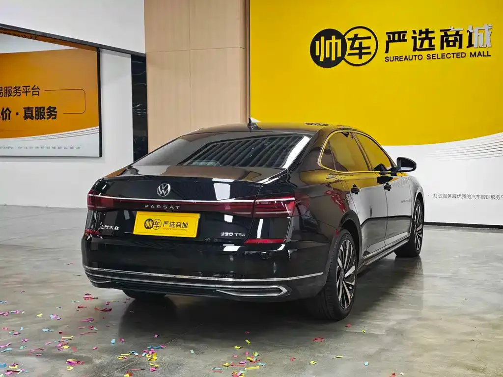 Volkswagen Passat — фото 4