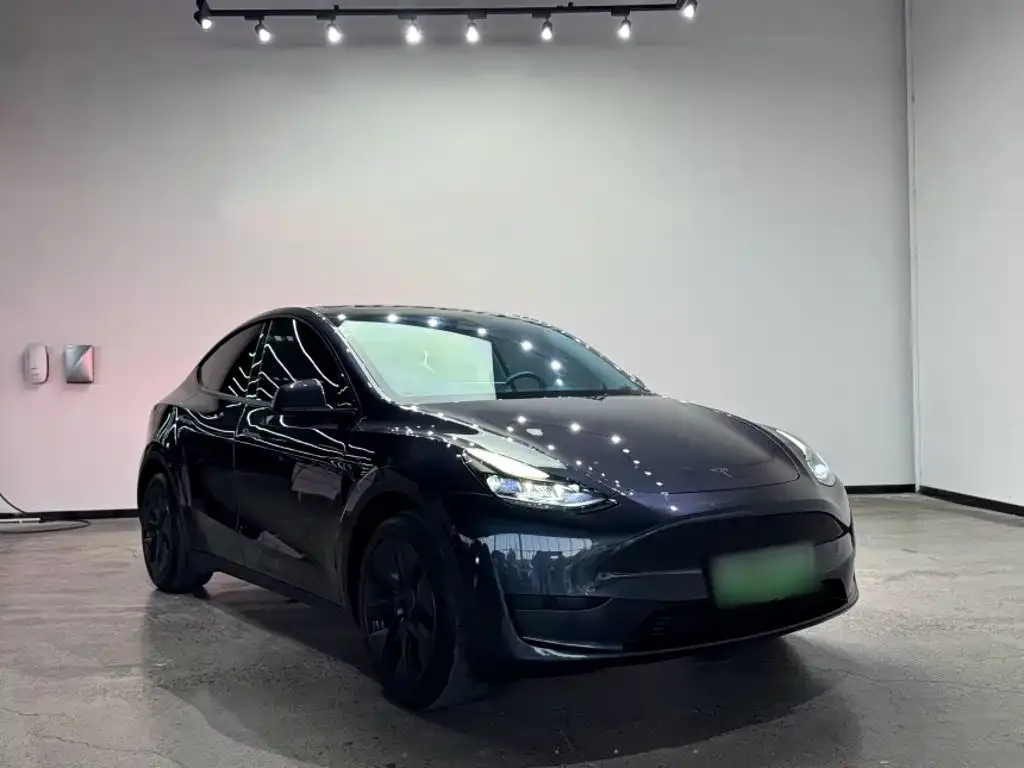 Tesla Model Y — фото 2