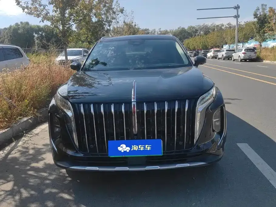 Hongqi HS7 PHEV — фото 8