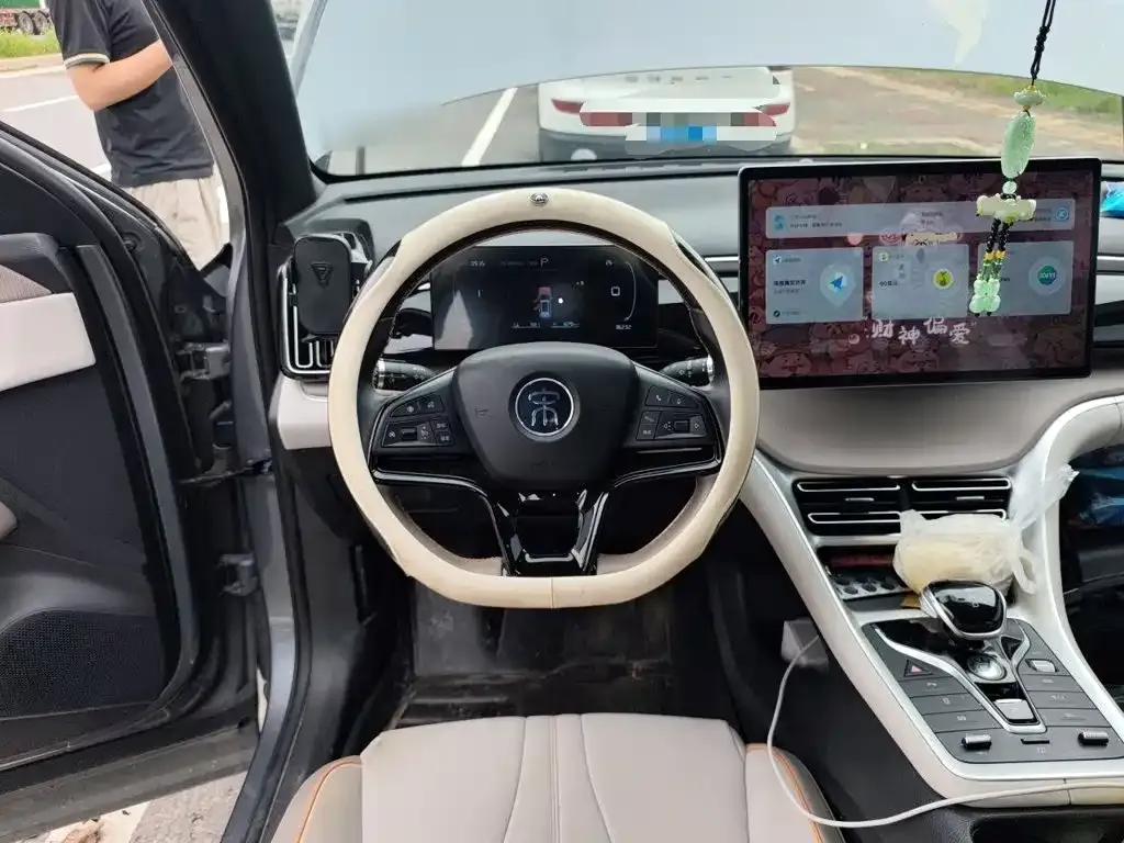 BYD Pro New Energy — фото 4