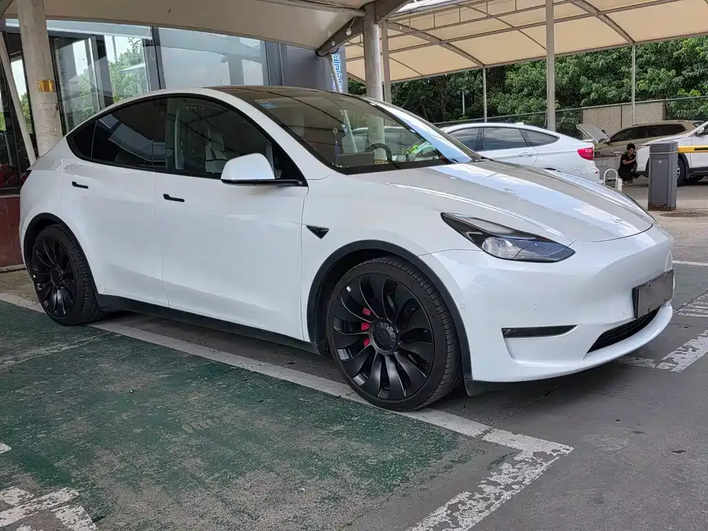 Tesla Model Y — фото 4