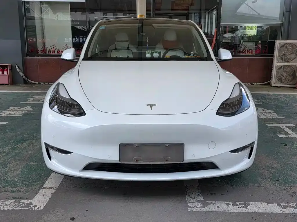Tesla Model Y — фото 2