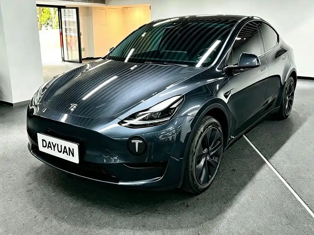 Tesla Model Y — фото 1