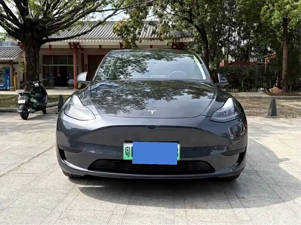 Tesla Model Y — фото 2