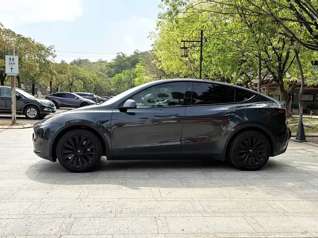 Tesla Model Y — фото 3