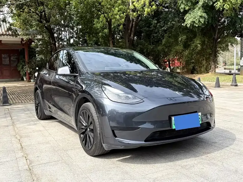 Tesla Model Y — фото 8