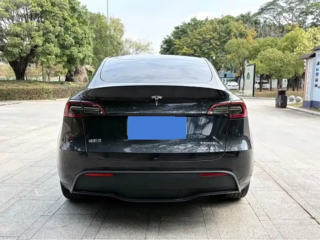 Tesla Model Y — фото 9