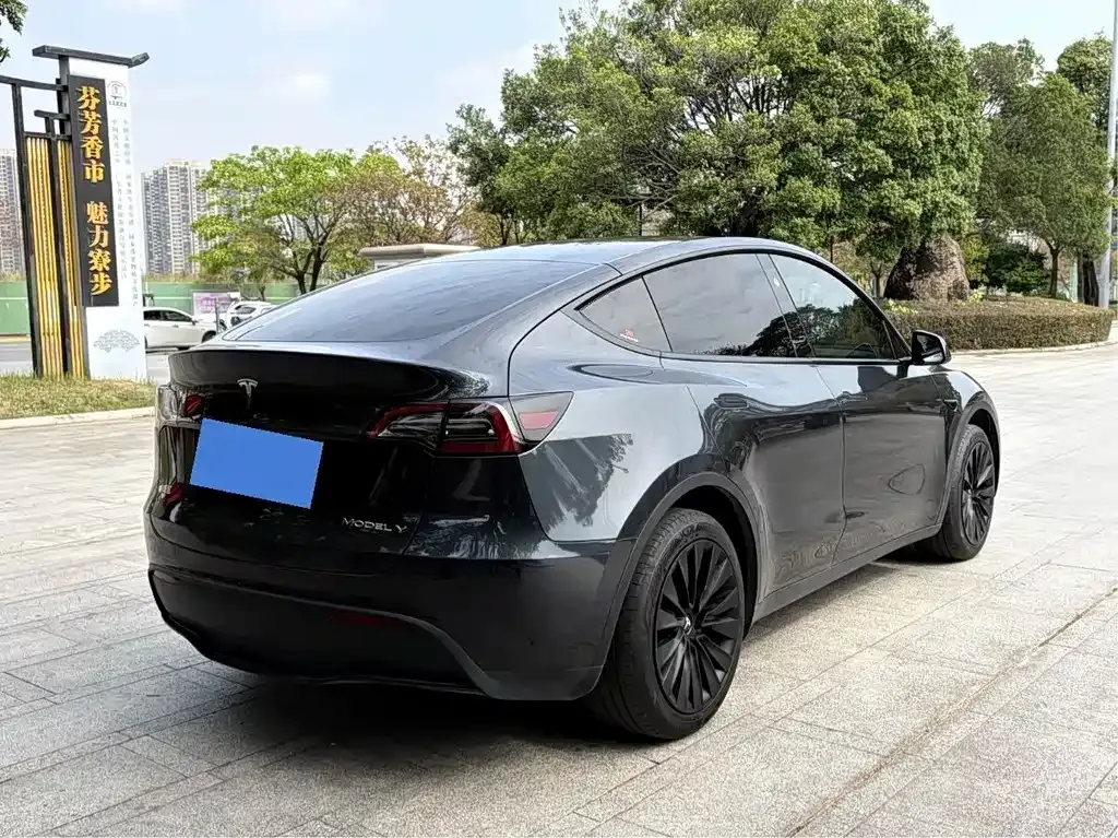 Tesla Model Y — фото 10