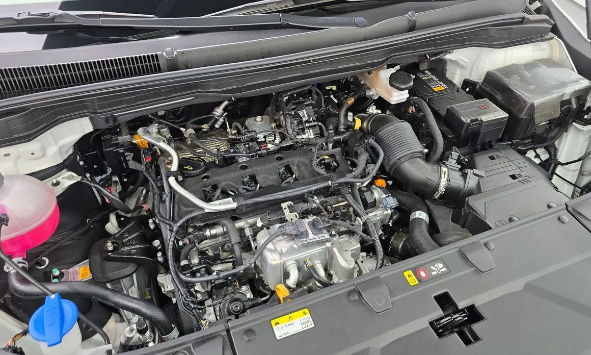 Kia Carnival — фото 10