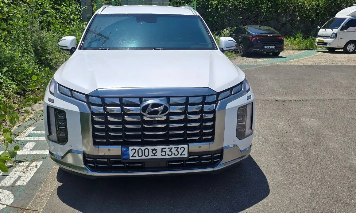 Hyundai Palisade — фото 1