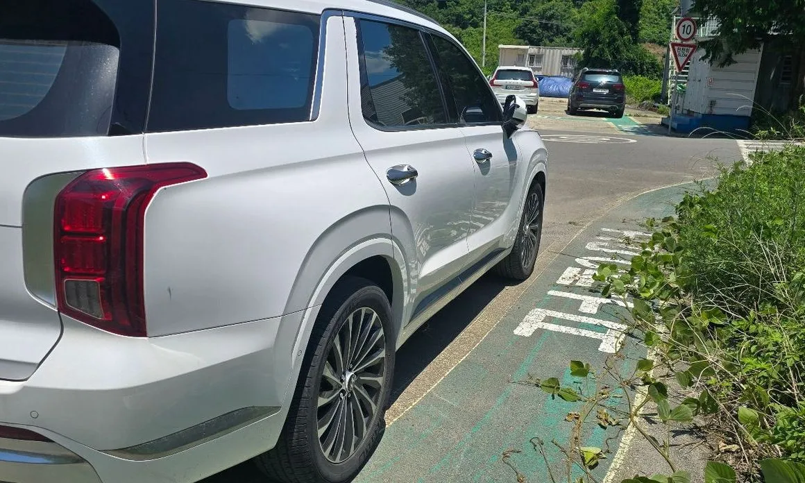 Hyundai Palisade — фото 10