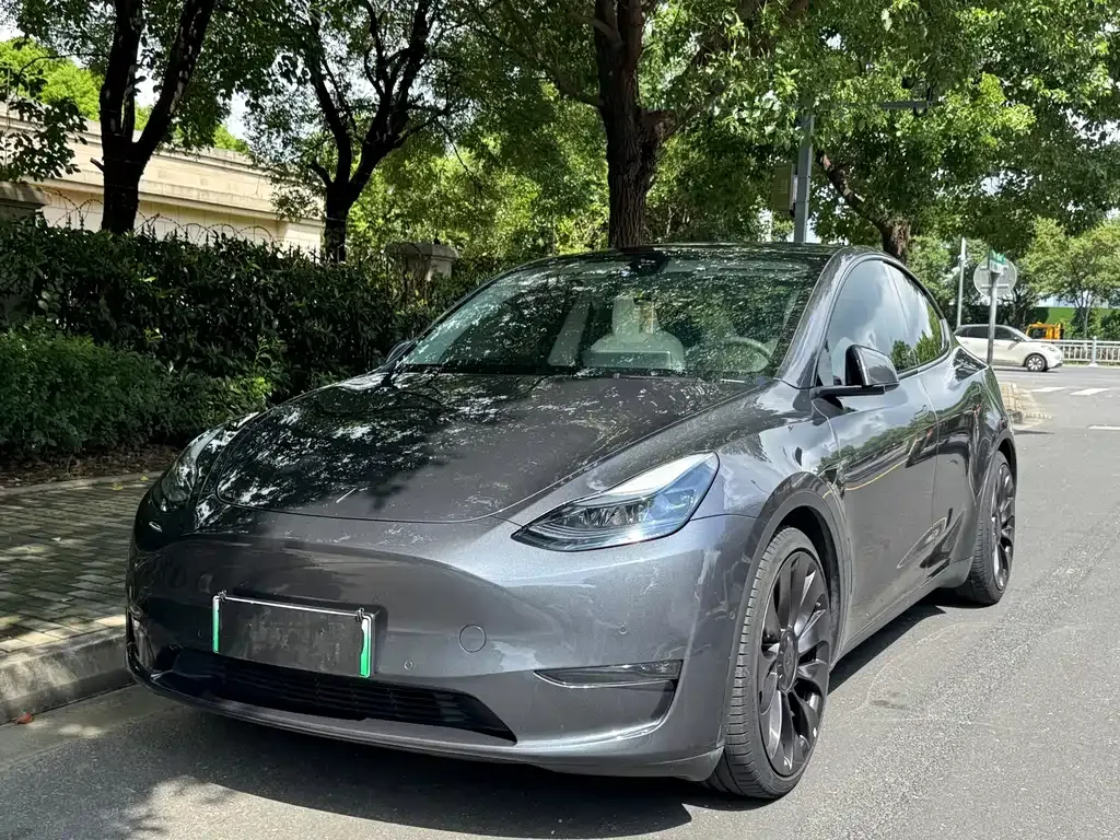 Tesla Model Y — фото 1