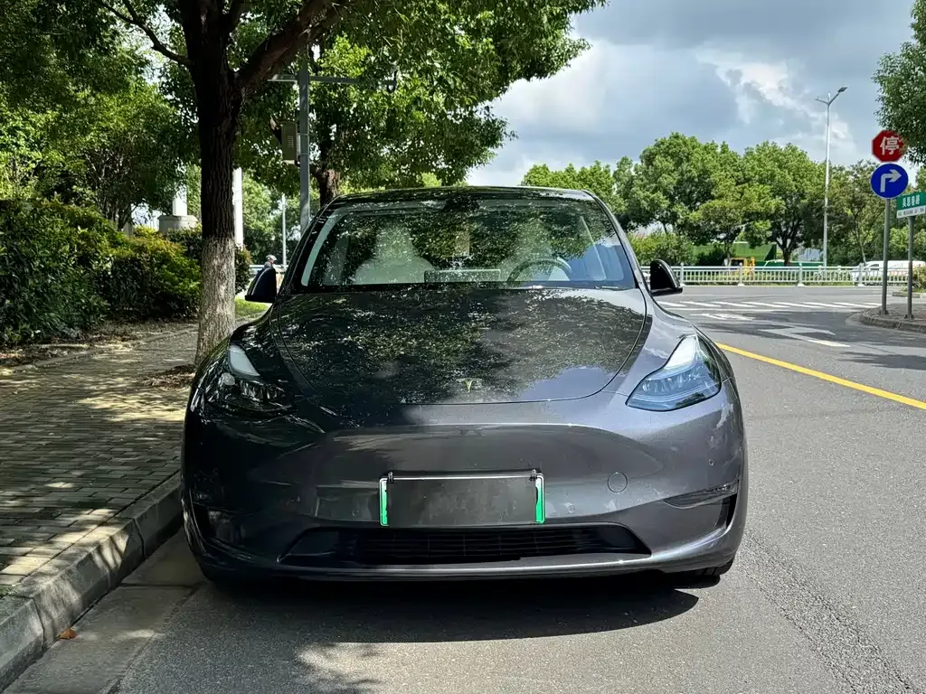 Tesla Model Y — фото 8