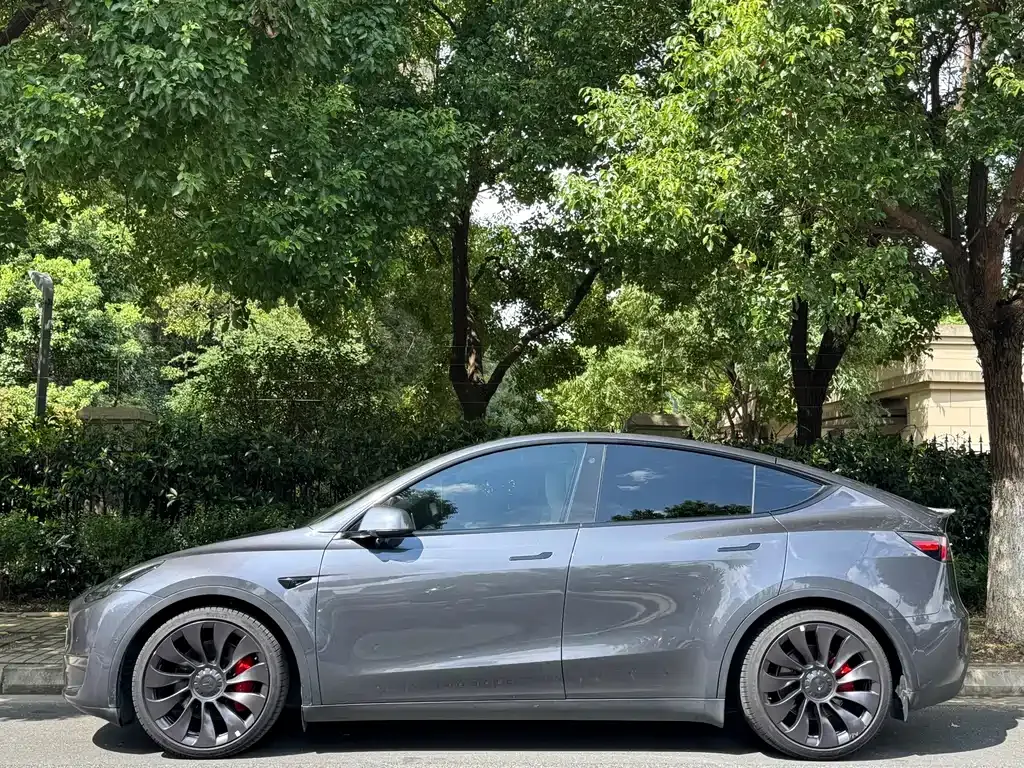 Tesla Model Y — фото 9