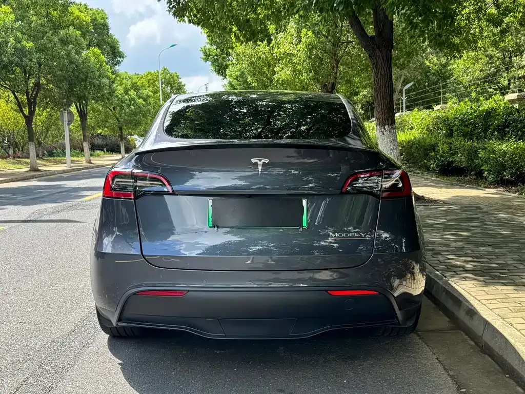 Tesla Model Y — фото 5