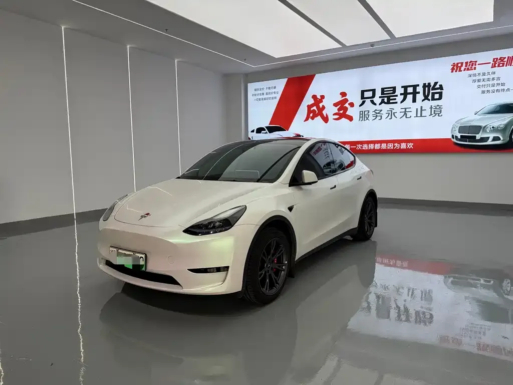 Tesla Model Y — фото 1