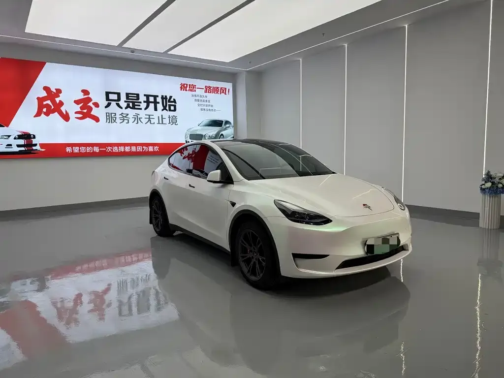 Tesla Model Y — фото 9