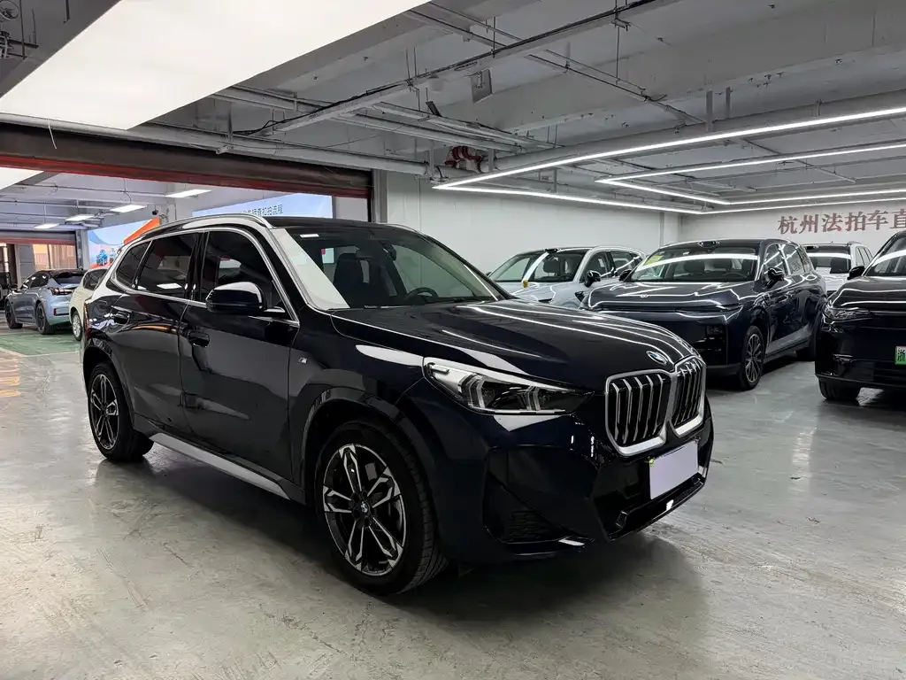 BMW X1 — фото 4
