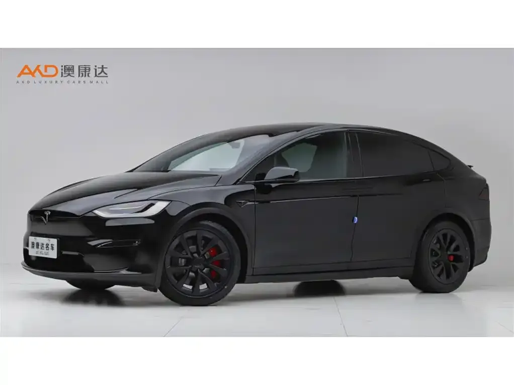 Tesla Model X — фото 1