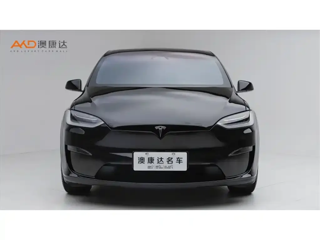 Tesla Model X — фото 8
