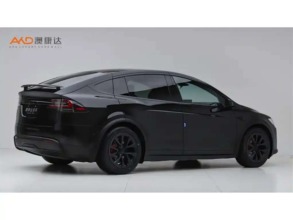 Tesla Model X — фото 10