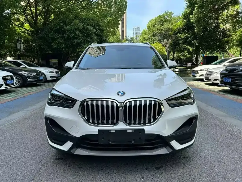 BMW X1 — фото 1