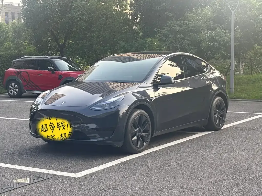 Tesla Model Y — фото 1