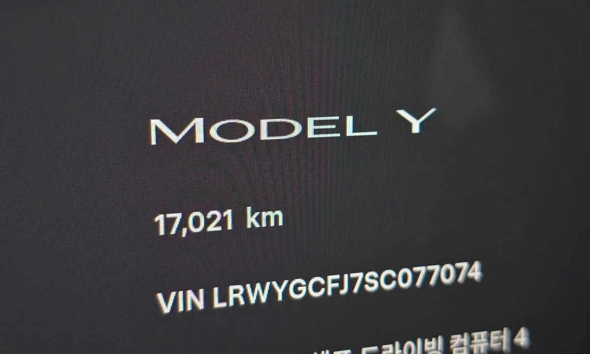 Tesla Model Y — фото 10